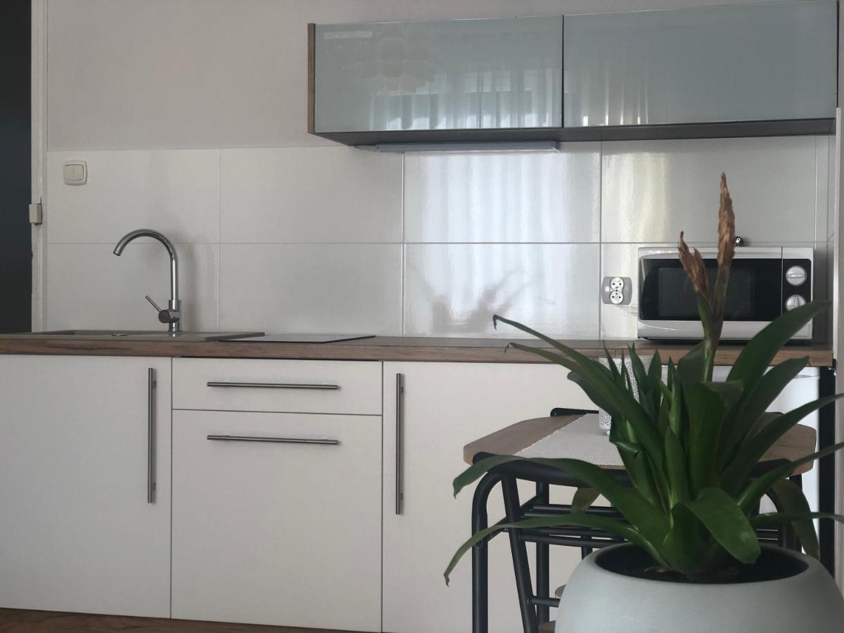 Lapacz Snow II Apartment Tylicz ภายนอก รูปภาพ